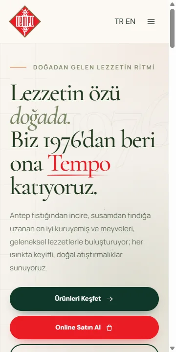 TempoCandy web sitesinin mobil görünümü